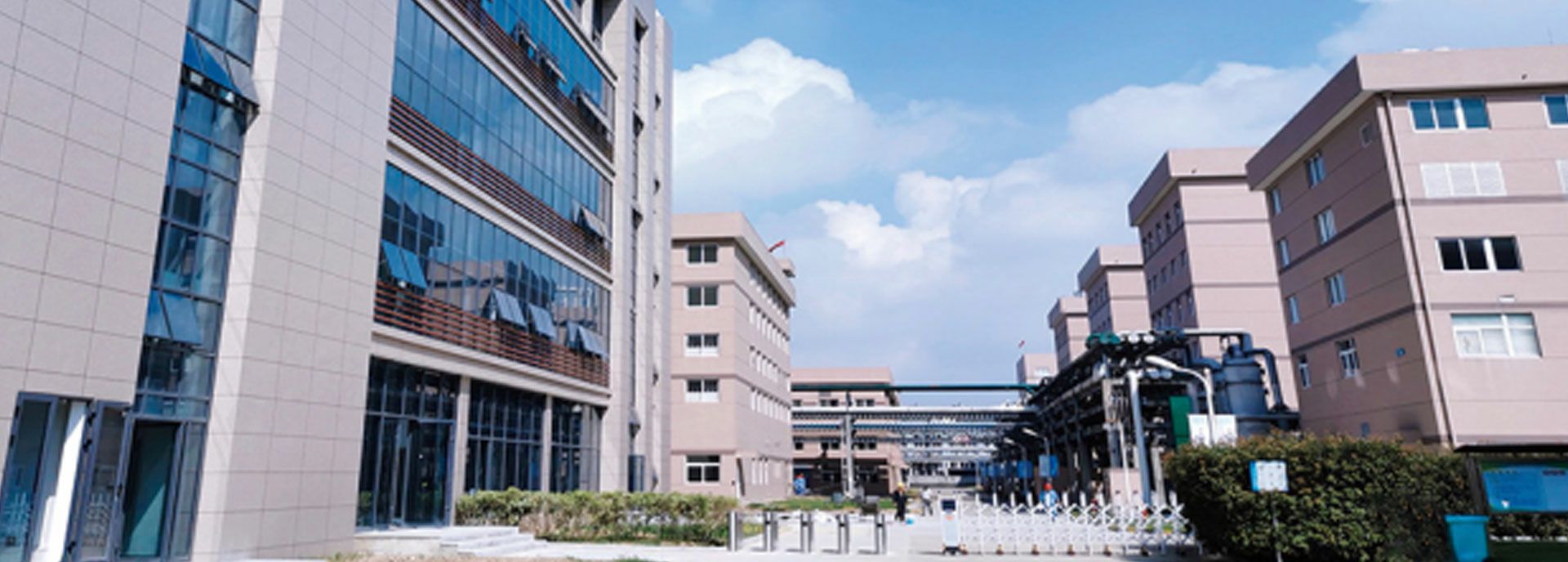 开云体育平台官方网站-开云体育(中国)